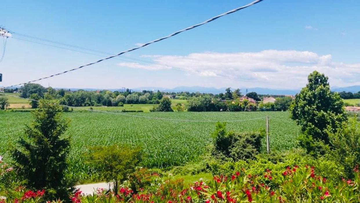 Appartamento Rosso Lazise Zewnętrze zdjęcie